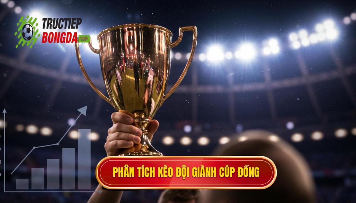 Phân Tích Bản Chất Kèo Cược Đội Giành Cúp Đồng