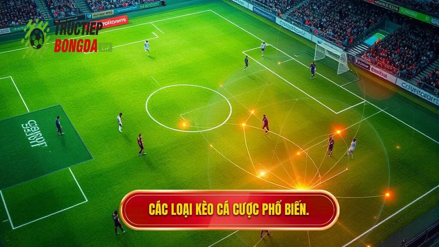 Các loại kèo cá cược phổ biến