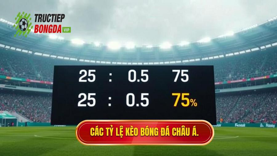 Các tỷ lệ kèo bóng đá Châu Á.