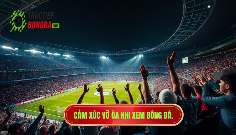 Cảm xúc vỡ òa khi xem bóng đá