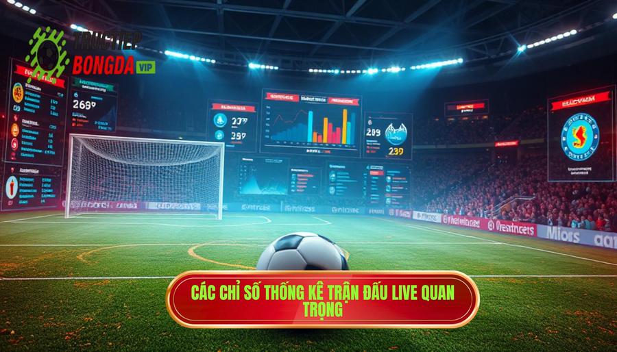 Các chỉ số thống kê trận đấu live quan trọng