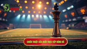 Khi nào nên theo cửa dưới? Cẩm nang soi kèo chuẩn xác từ chuyên gia