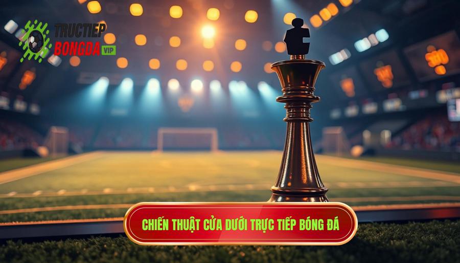 Khi nào nên theo cửa dưới? Cẩm nang soi kèo chuẩn xác từ chuyên gia